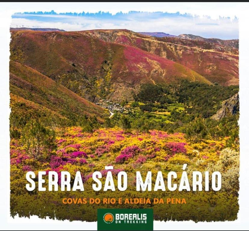 Вилла Terraco D'Aldeia Сан-Педру-ду-Сул Экстерьер фото